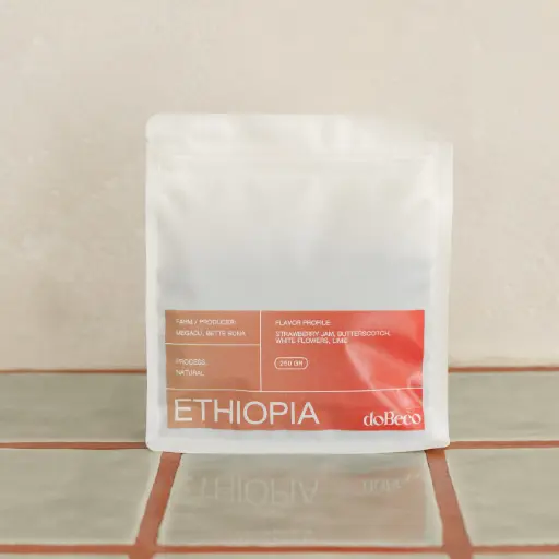 Ethiopia Megadu
